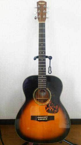 ☆トップ単板☆MORRIS F 12 TS