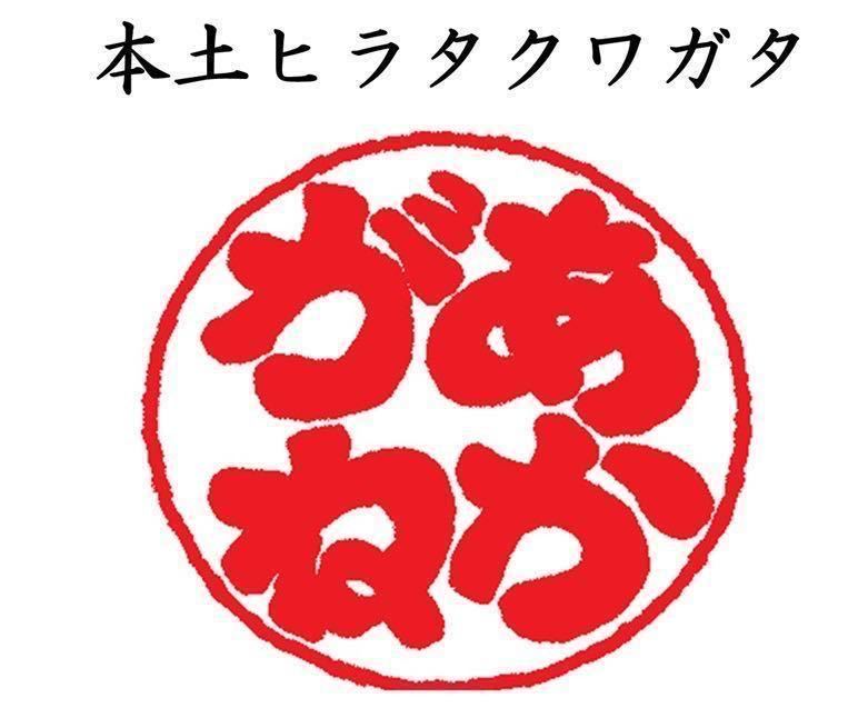 ◆あかがね◆本土ヒラタ ♂87.2+♀46.3+♀48.2(1回ペアリング済み)