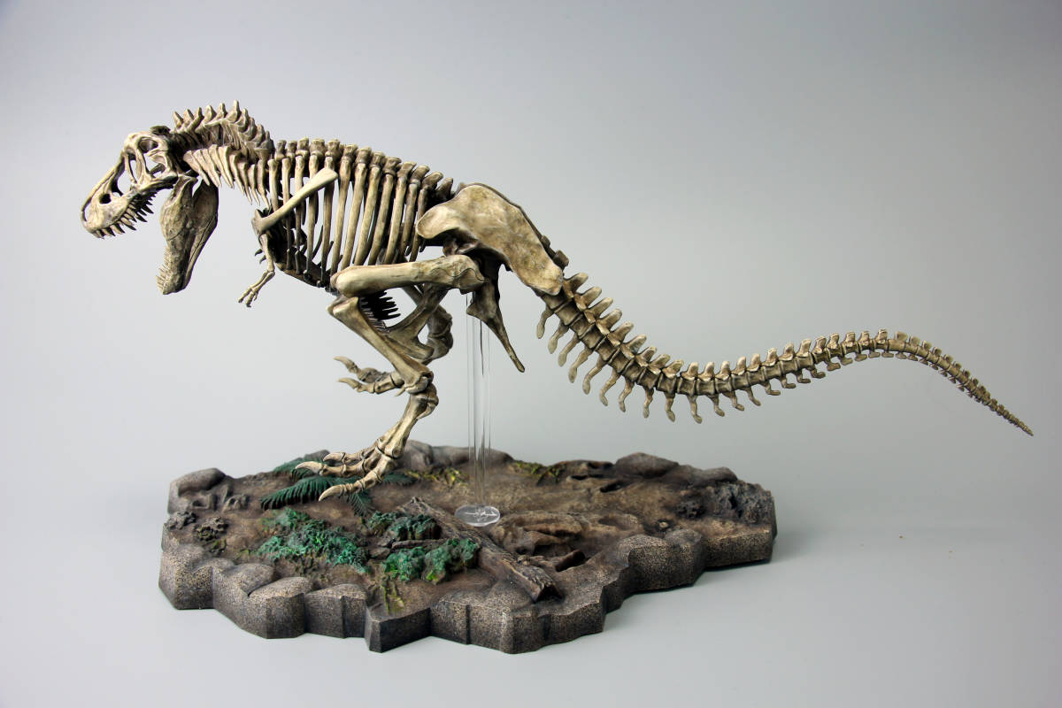 バンダイスピリッツ imaginary skeleton 1/32 ティラノサウルス プラモデル 塗装済完成品
