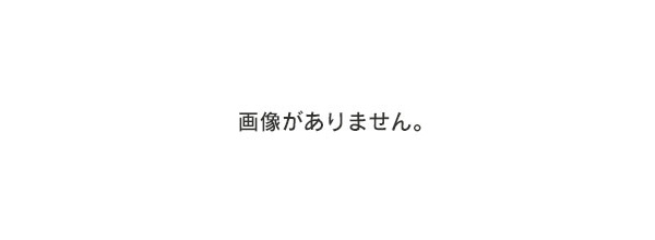 patagonia◆トレススリーワンマウンテンパーカ/L/ポリエステル/27221F9/トレススリーワン/インナーベスト付