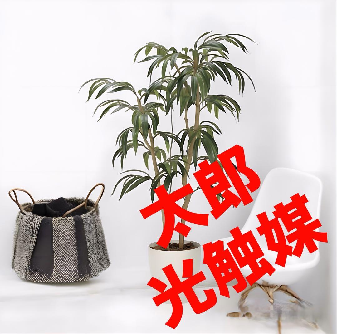 光触媒　人工観葉植物　ウォールグリーン　フェイクグリーン　ショウナンゴム1.3m