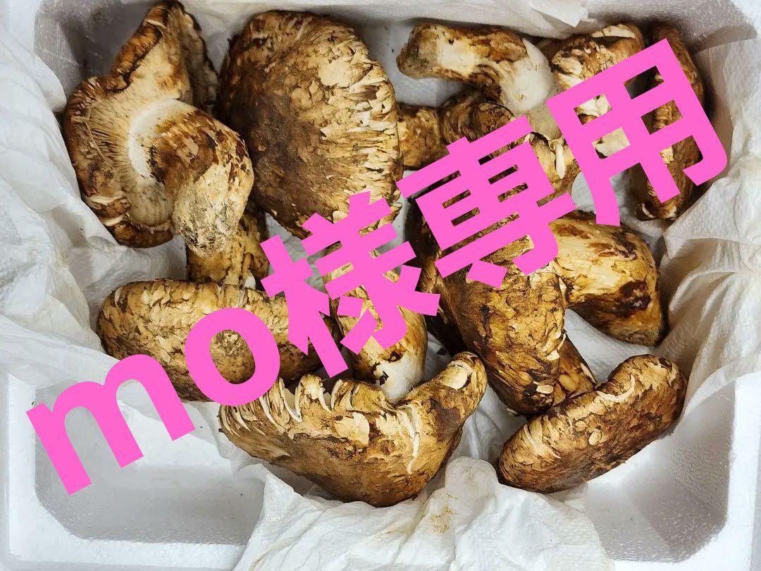トルコつぼみ松茸&中国産松茸 1kgづつ