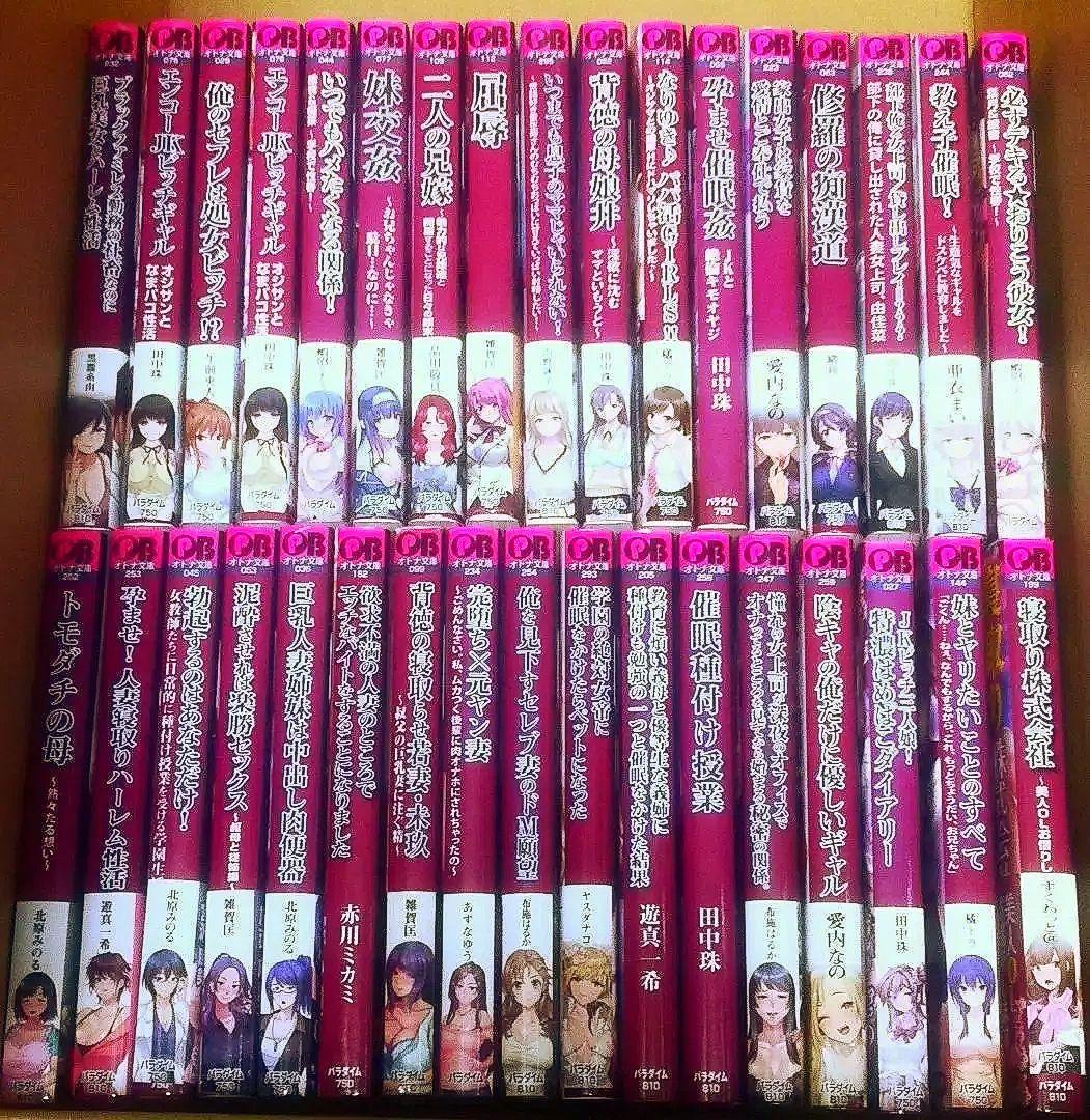 ラノベ系官能小説