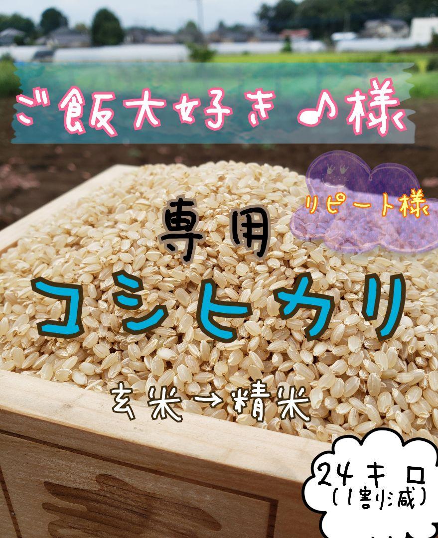 ご飯大好き様専用商品です。白米コシヒカリ 　24キロ　令和3年　 茨城県産