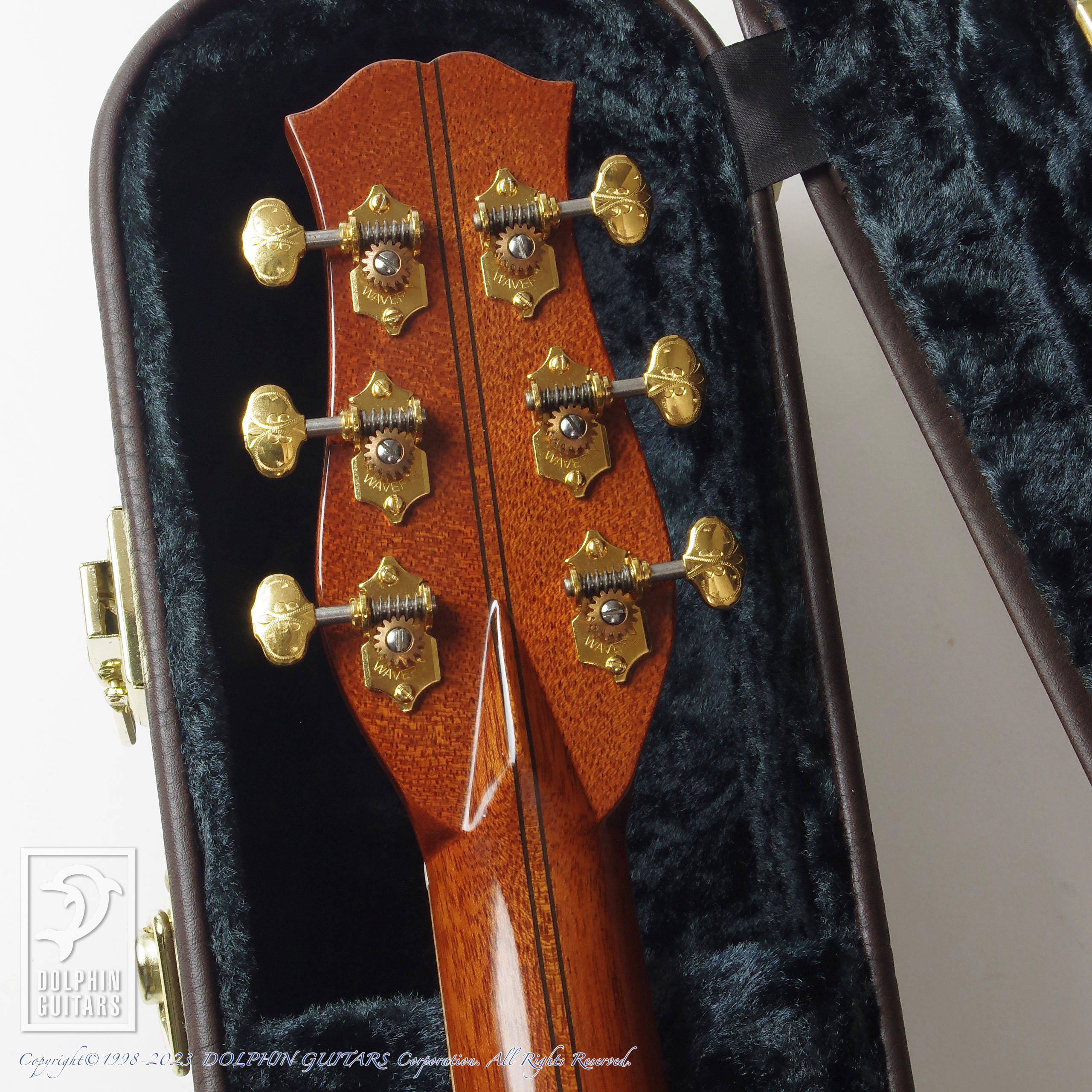 KAWAKAMI GUITARS NW-45 (Jacaranda)|ドルフィンギターズ